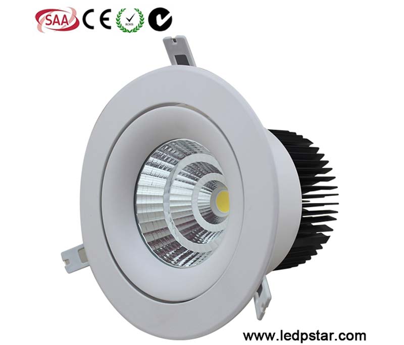 LED Downlight C3