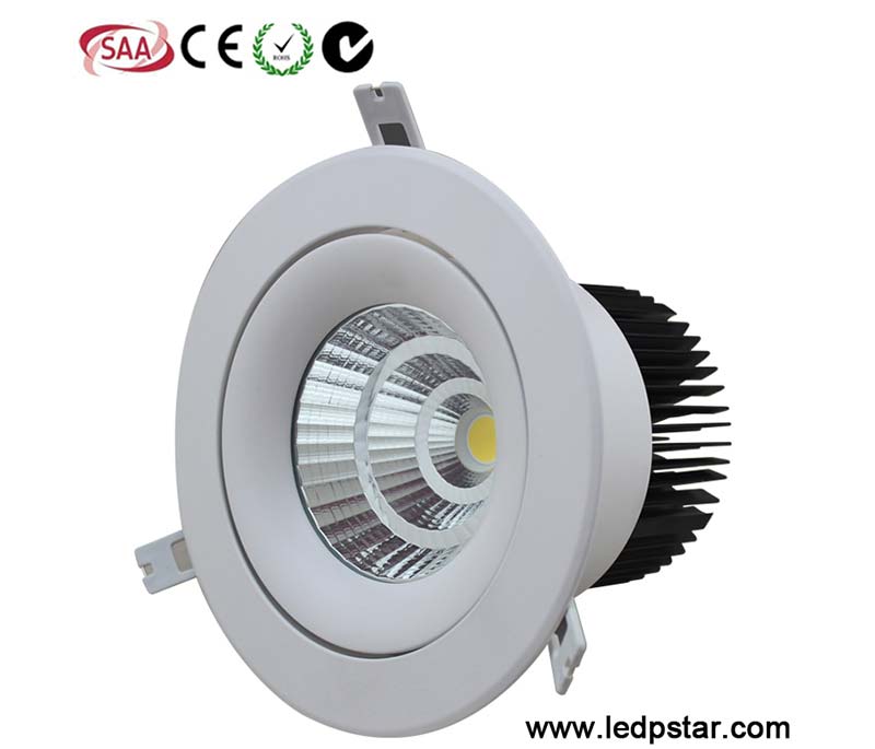 LED Downlight C3