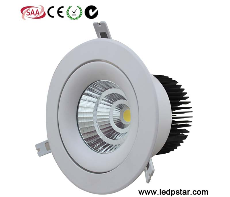 LED Downlight C3