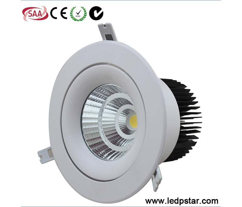 LED Downlight C3