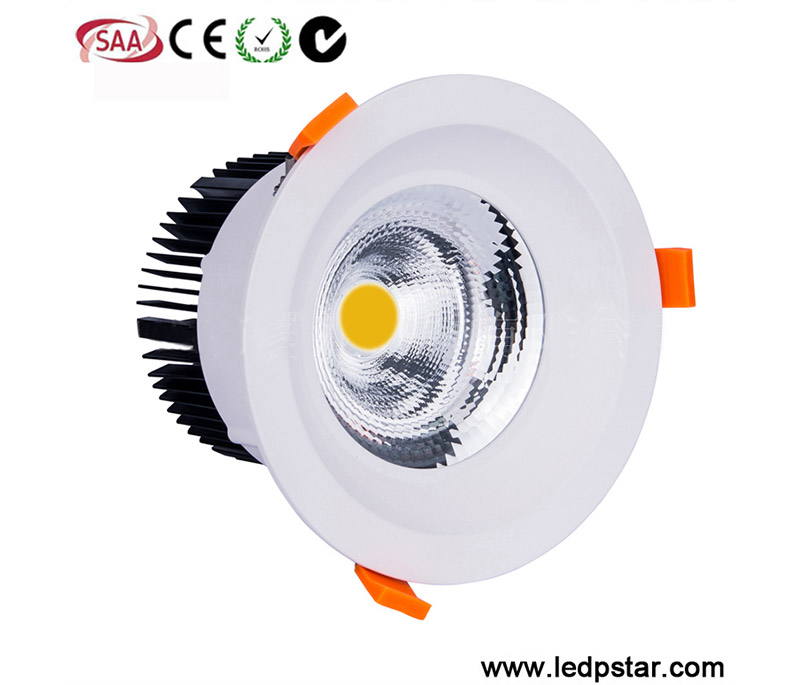LED Downlight C20