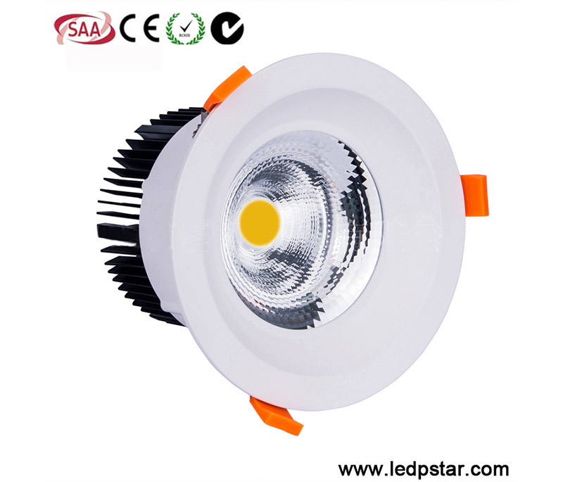 LED Downlight C20