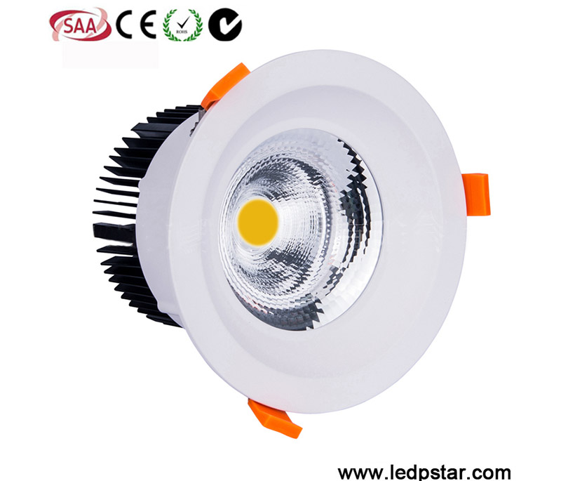LED Downlight C20