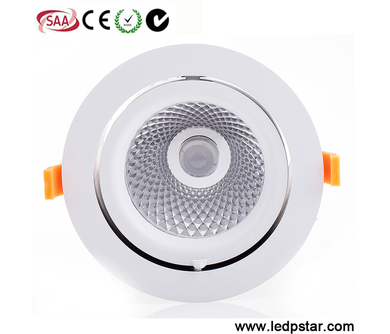 Gimbale LED Downlights