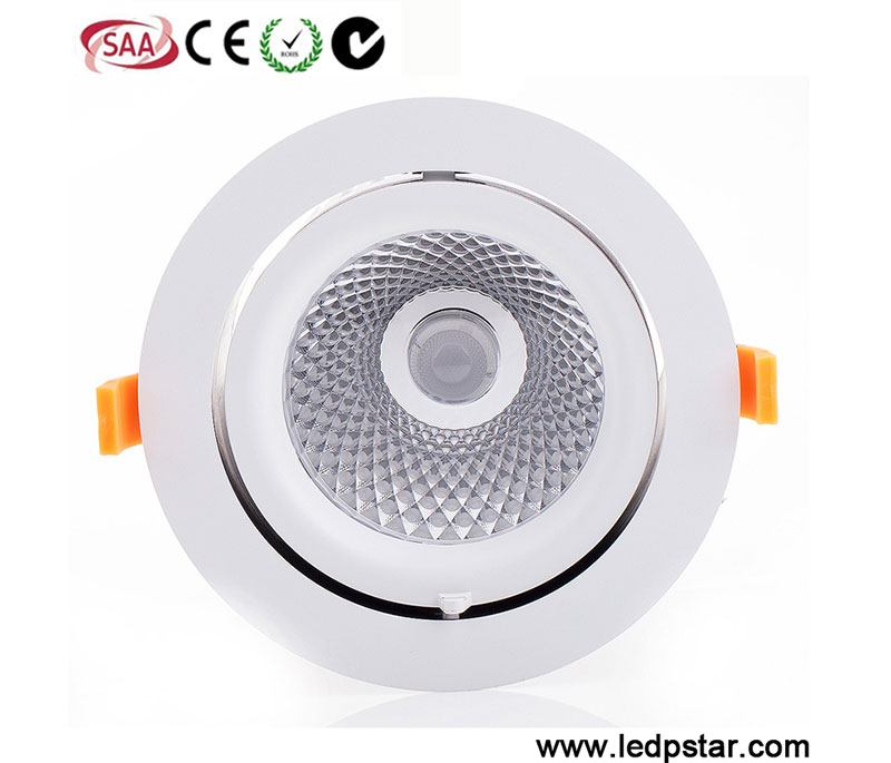 Gimbale LED Downlights