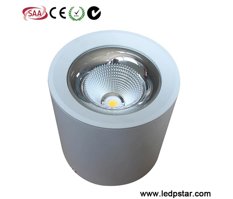 Surface Mounted LED Downlight
