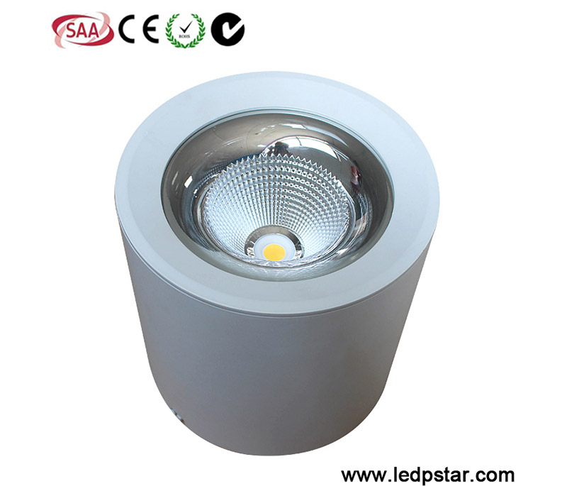 Surface Mounted LED Downlight