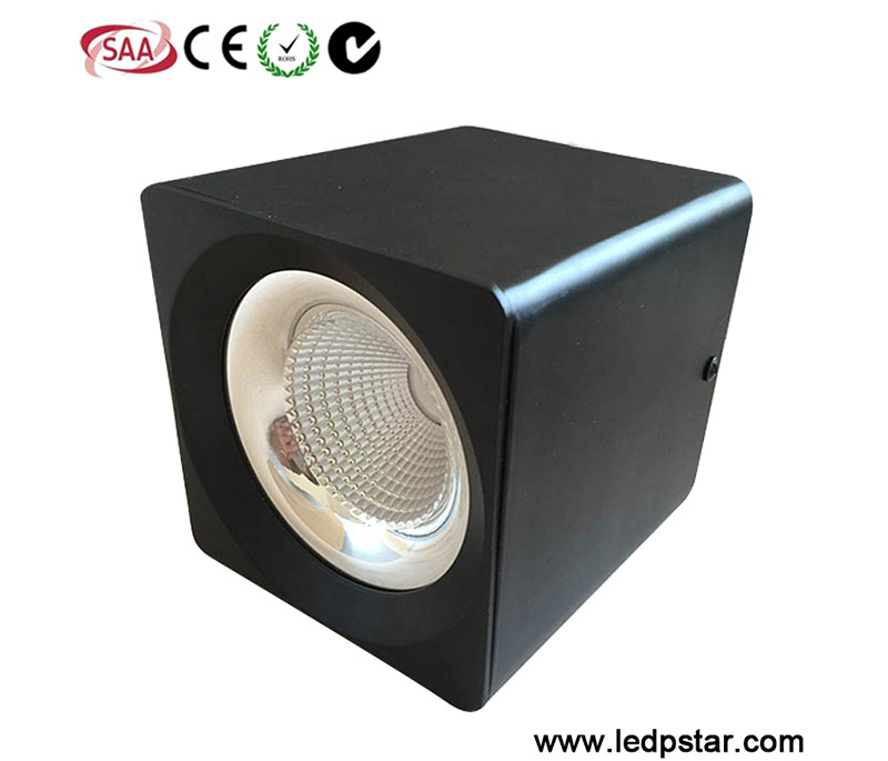 Surface Mounted LED Downlight